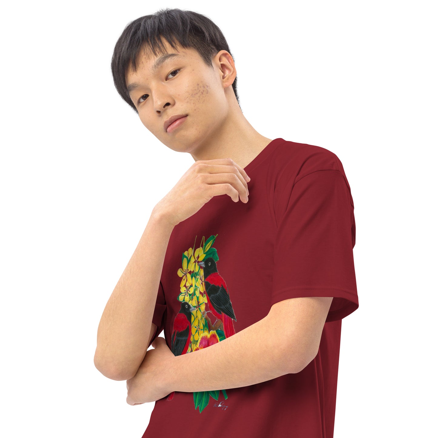 Wings of the Rainforest Men’s premium heavyweight tee