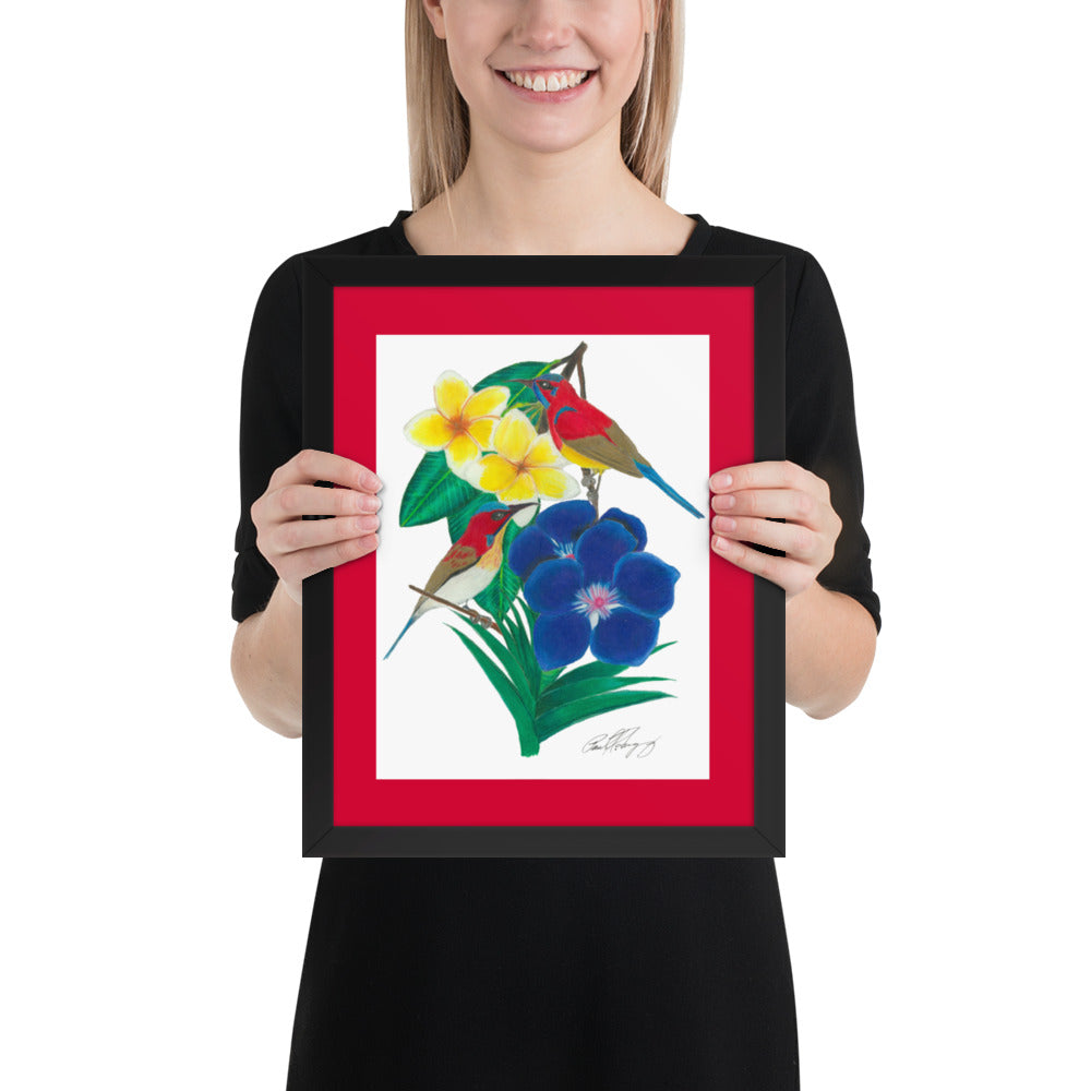 Wings of the Rainforest Framed poster - Mrs. Gould's Sunbird and Handsome Sunbird