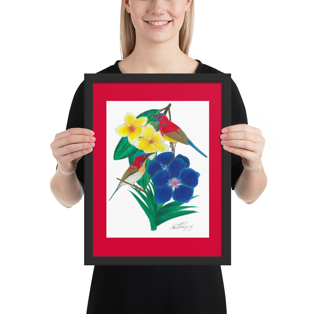 Wings of the Rainforest Framed poster - Mrs. Gould's Sunbird and Handsome Sunbird