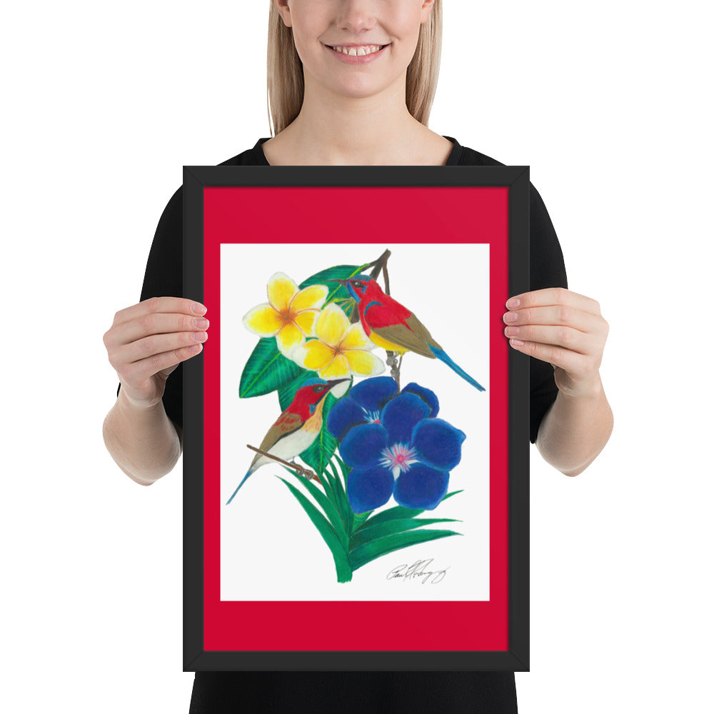 Wings of the Rainforest Framed poster - Mrs. Gould's Sunbird and Handsome Sunbird