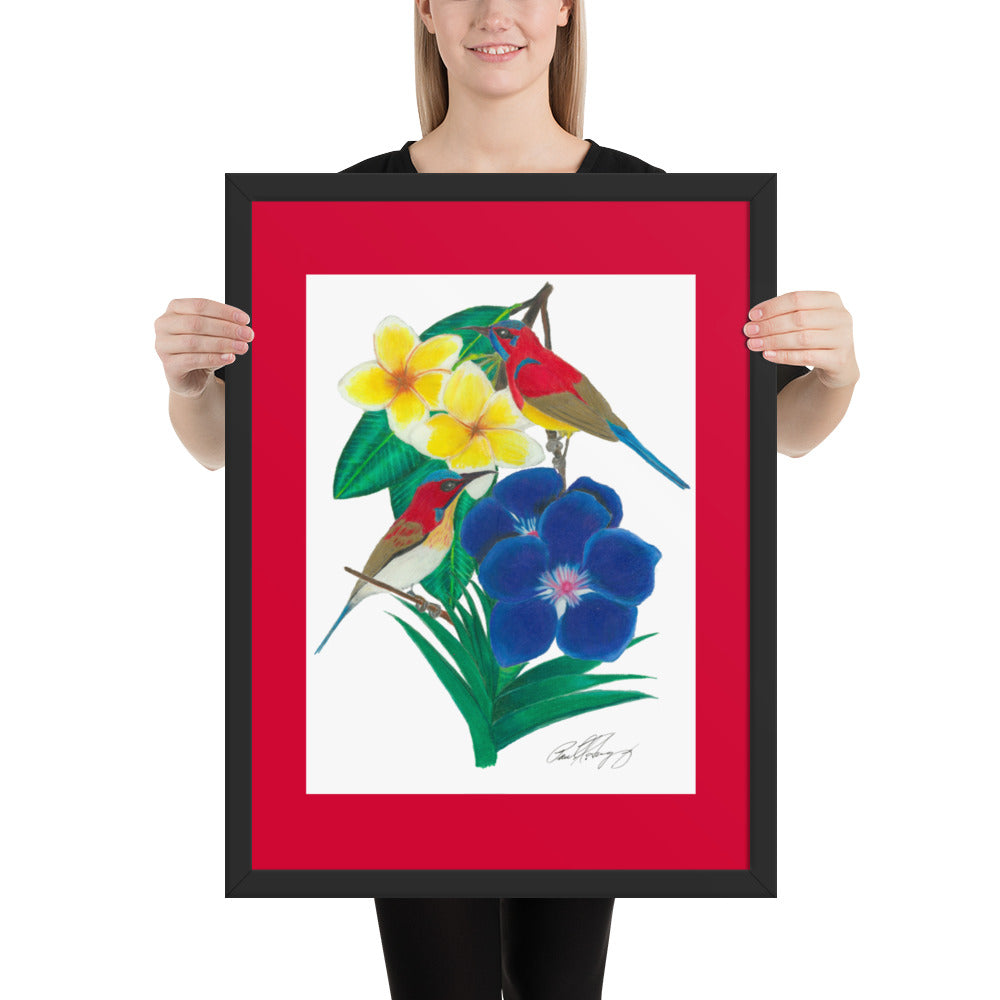 Wings of the Rainforest Framed poster - Mrs. Gould's Sunbird and Handsome Sunbird