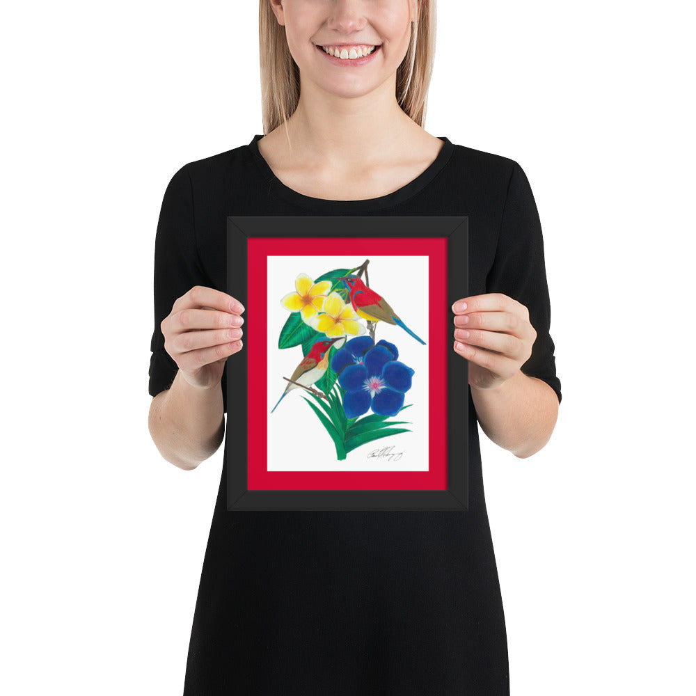 Wings of the Rainforest Framed poster - Mrs. Gould's Sunbird and Handsome Sunbird